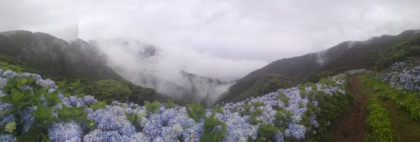 Full day – Fajã Caldeira Santo Cristo