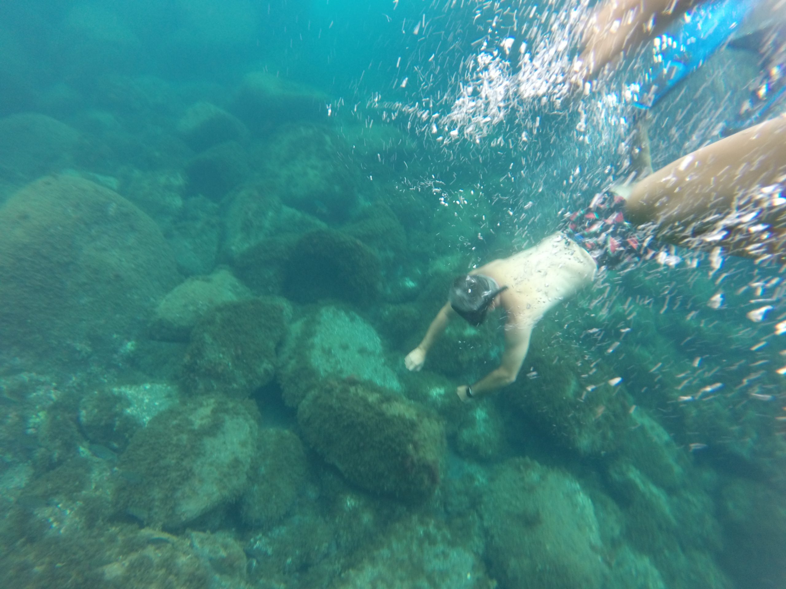 Grutas e Poça Simão Dias - Snorkeling - Tour São Jorge - Land Tours