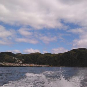 Passeio de Barco Velas – Pico - Velas - Land Tours