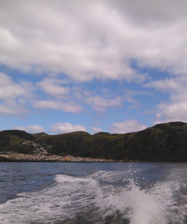 Passeio de Barco Velas – Pico - Velas - Land Tours