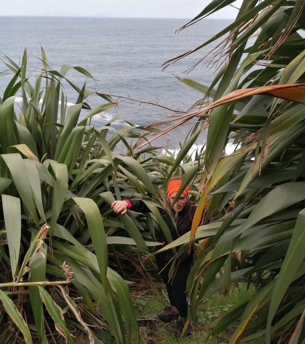 Walk - Fajãs do Toledo