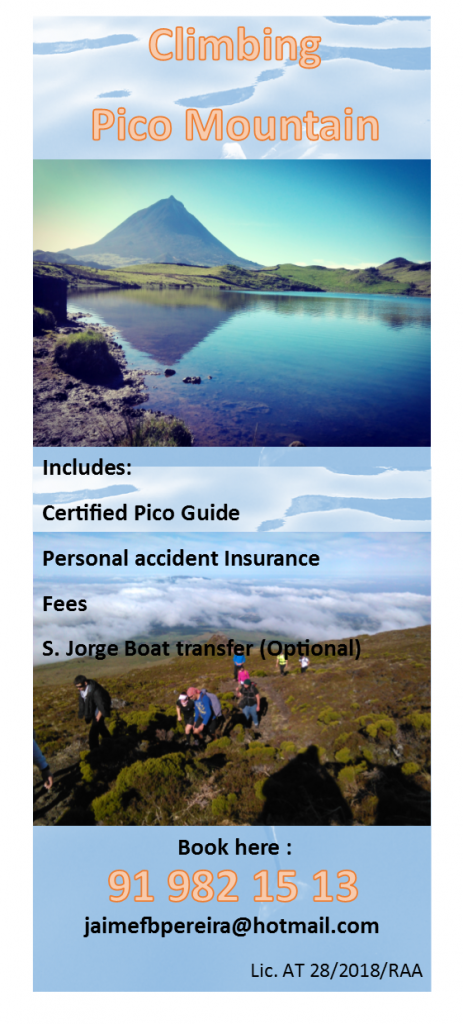 Flyer Climbing Pico Mountain - Land Tours