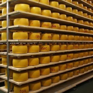 Tour Queijo de São Jorge - Land Tours