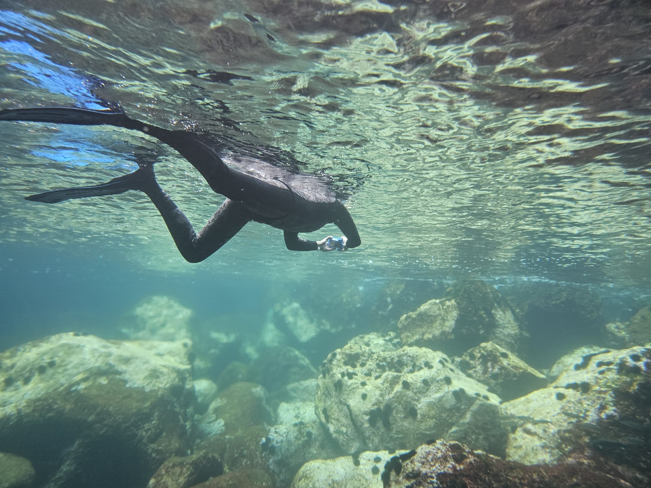 WhatsApp Image 2025-05-10 at 18.30.14