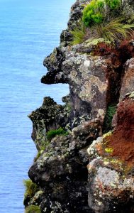 thumbnail_1-028-DSC09666 A cabeça do dragão - Tour dos Vulcões