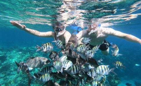 Snorkeling: o que é, como praticar e benefícios - Land Tours