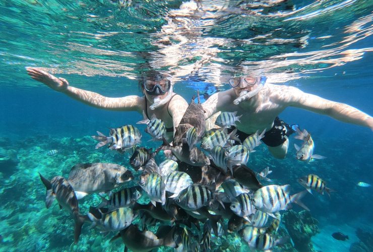 Snorkeling: o que é, como praticar e benefícios - Land Tours
