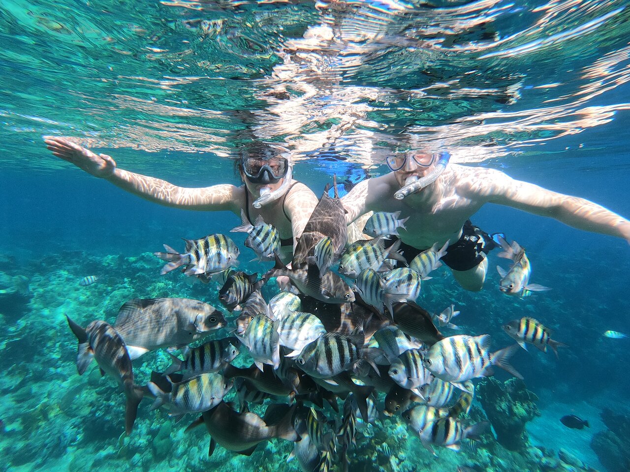 Snorkeling: o que é, como praticar e benefícios - Land Tours