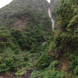 Rota dos Vulcões em S. Jorge - Land Tours