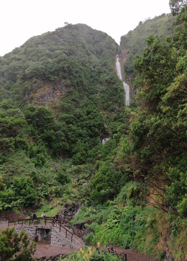 Rota dos Vulcões em S. Jorge - Land Tours