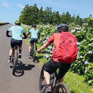 e-bike Tour - Cycling